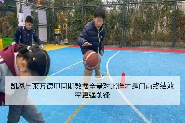 凯恩与莱万德甲同期数据全景对比谁才是门前终结效率更强前锋